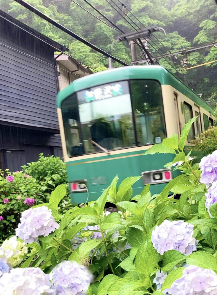 雨のしっとり鎌倉②
