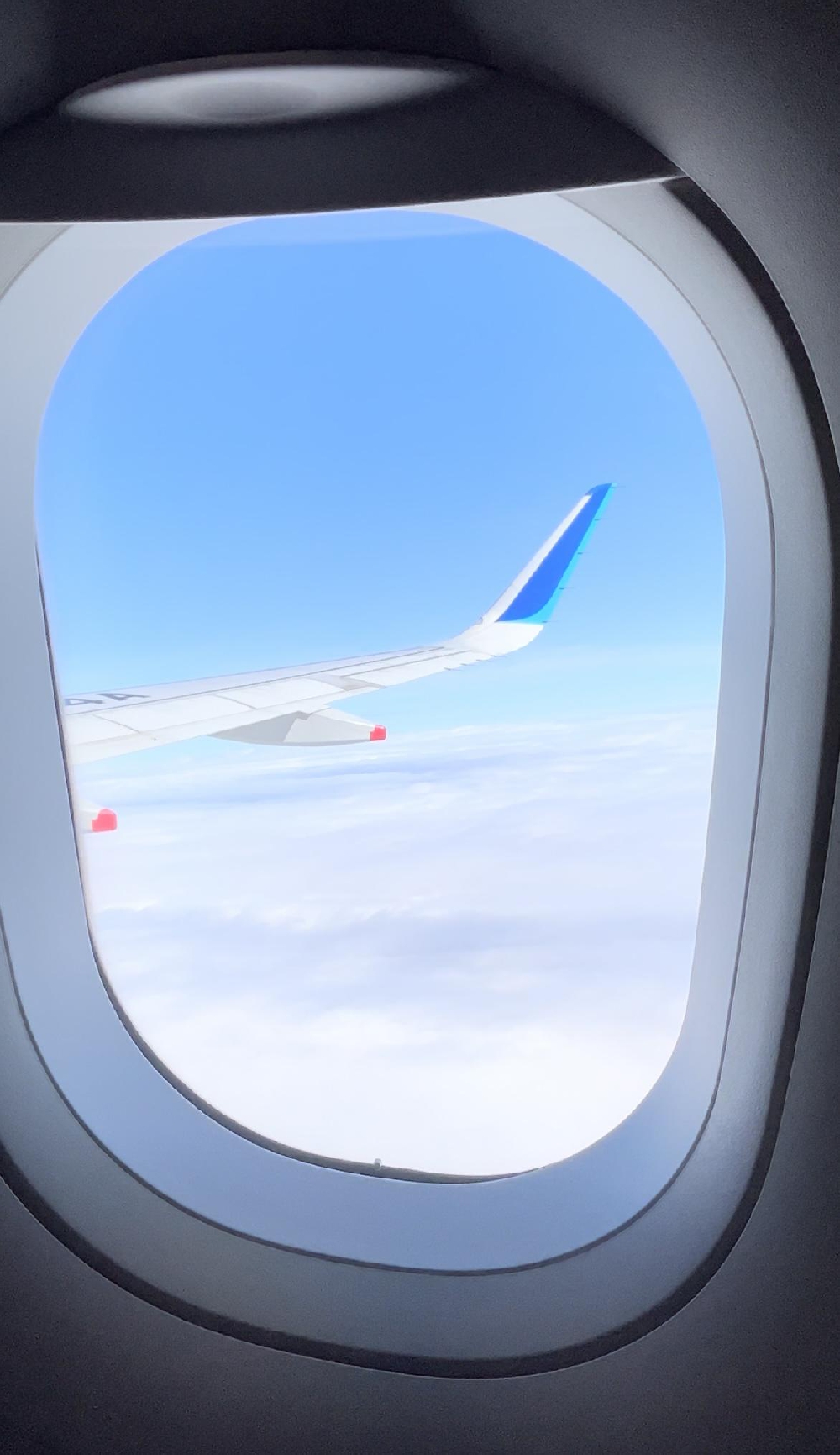 徳島旅行① くるくる鳴門