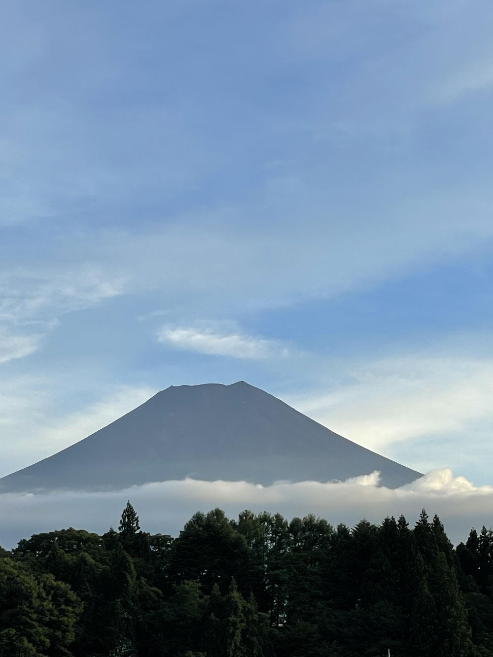 富士山の麓で上映会