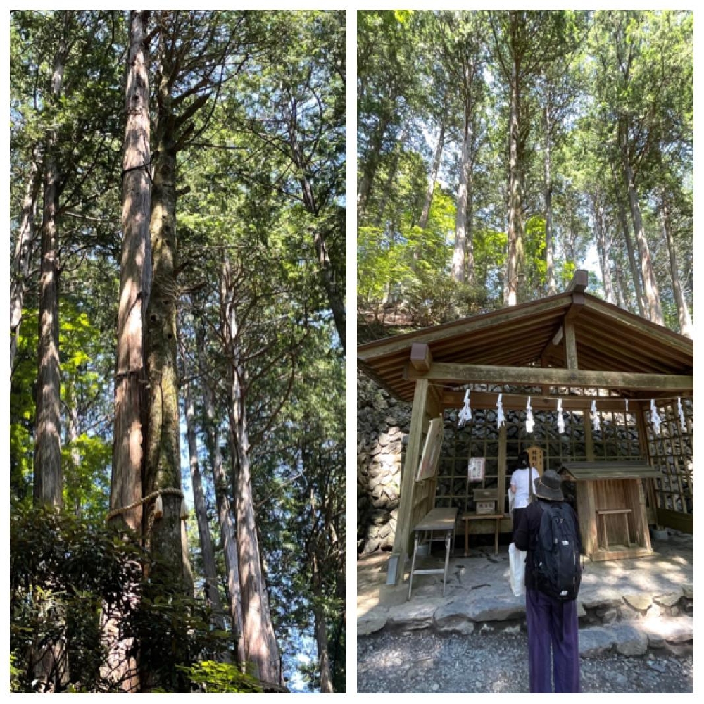 三峯神社散策