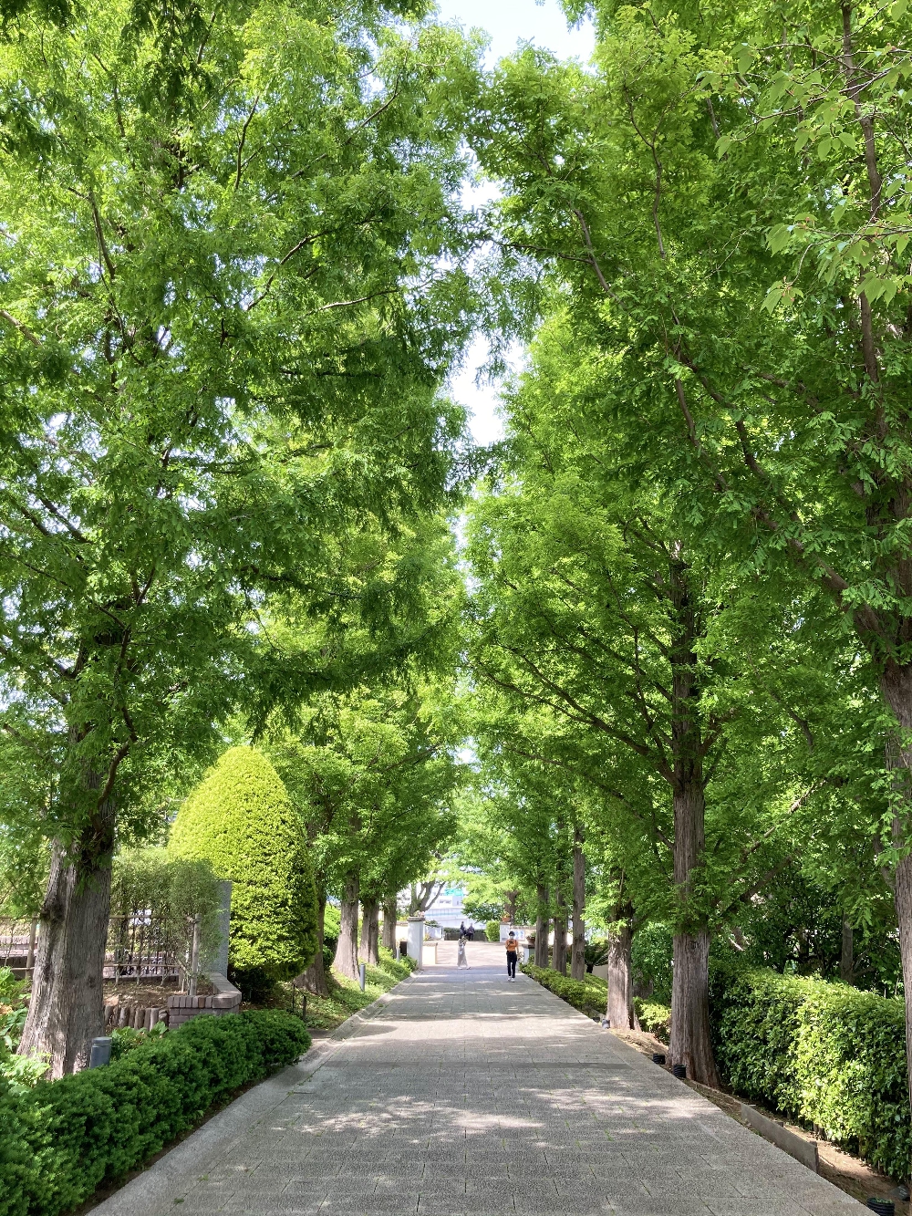 山手めぐり③