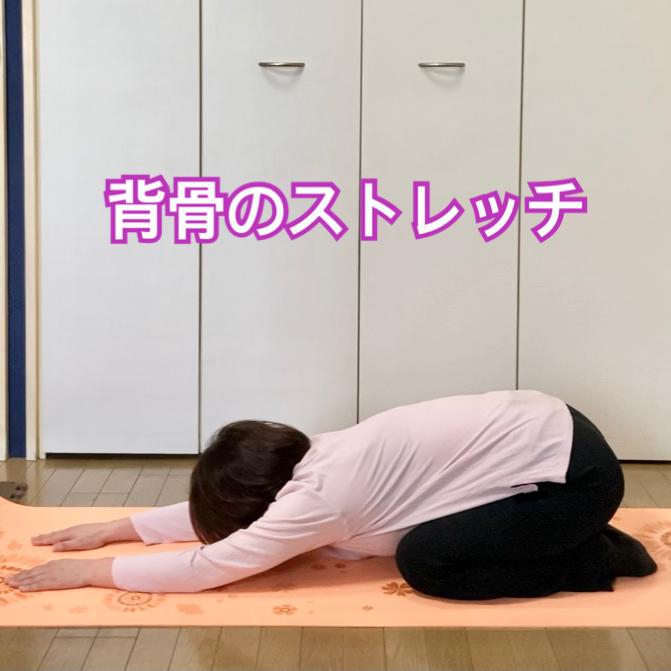 背骨のストレッチ