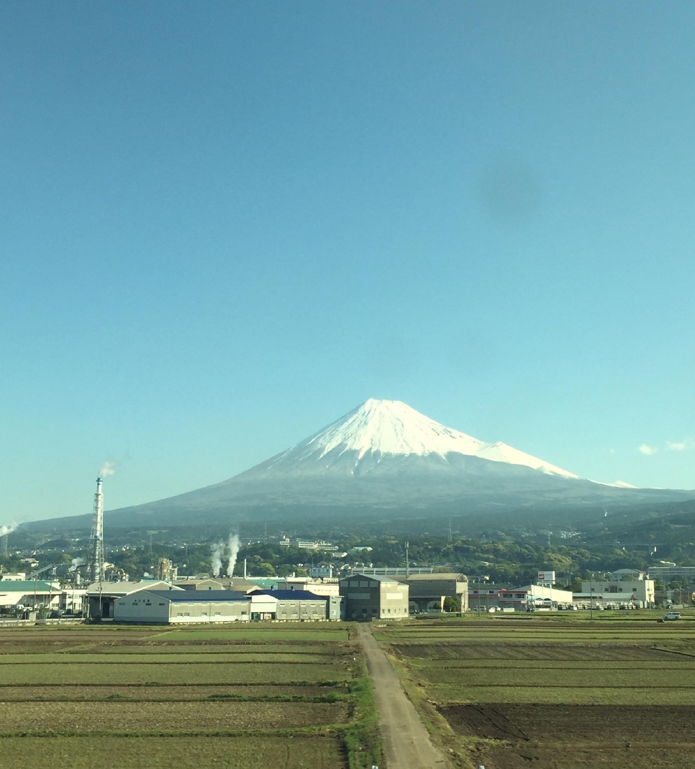 出張