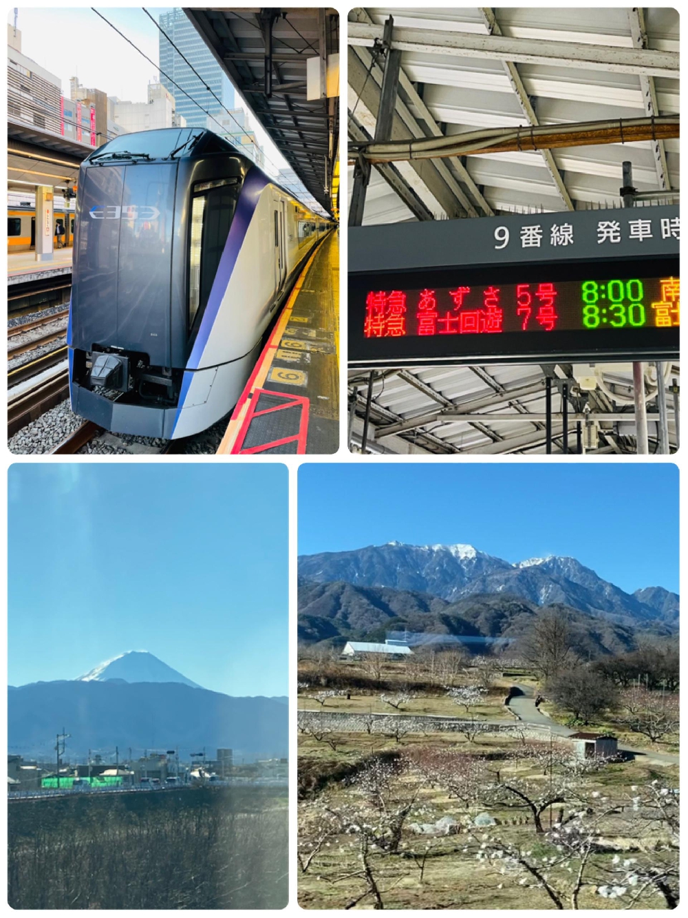 諏訪旅Ⅰ 諏訪大社秋宮
