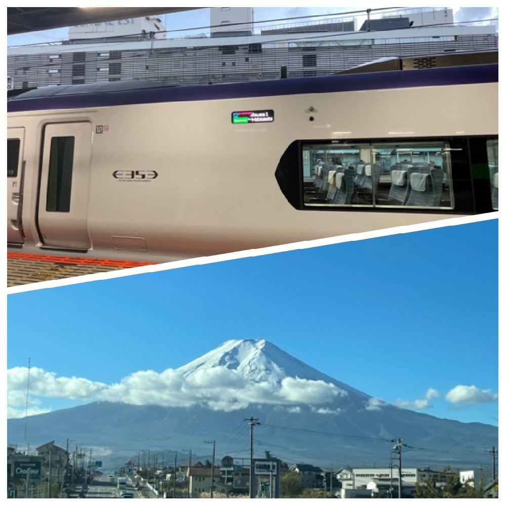 富士山の森