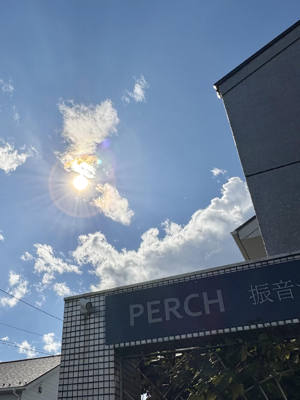 振音サロンPERCH プレオープン初日