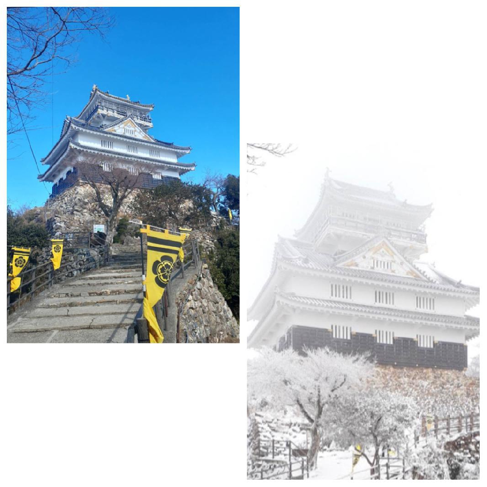 岐阜出張息子編