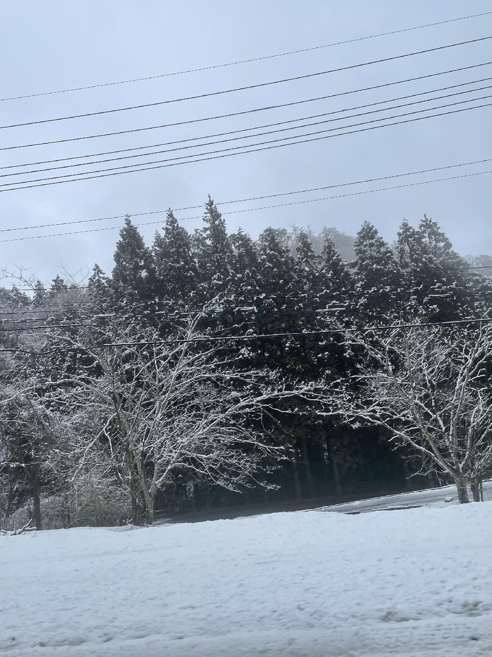 トンネルをぬけると