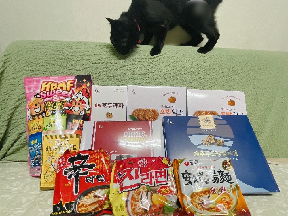 韓国と利尻から
