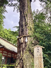 東国三社参拝　香取神宮⑤