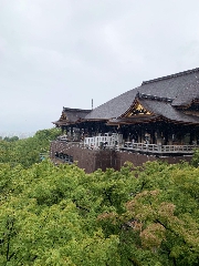 急ぎ足で清水寺・八坂の塔・下鴨神社