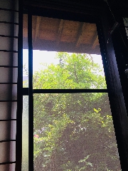 歩けた‼️