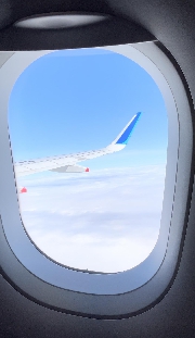 徳島旅行① くるくる鳴門