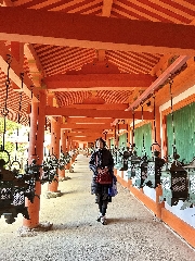 天橋立・奈良⑦ 春日大社　特別参拝