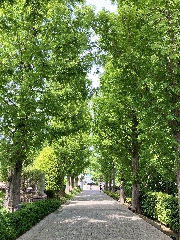 山手めぐり③