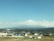 出張