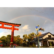 プチ鎌倉観光④　虹の鶴岡八幡宮へ