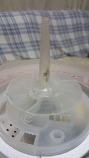 喉の痛みの原因は…