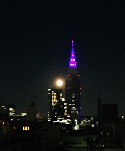 満月の日は