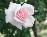 追悼