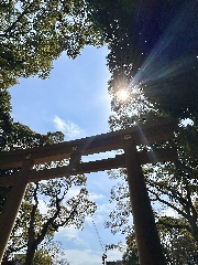 明治神宮参拝⛩️