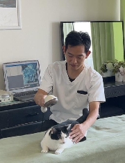 猫ちゃんセラピー