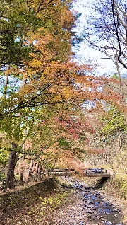軽井沢③旧軽井沢散策