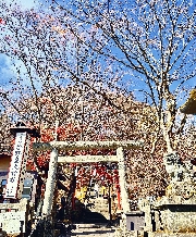 軽井沢② 熊野皇大神社 碓氷峠見晴台