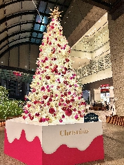 イルミネーション✨
