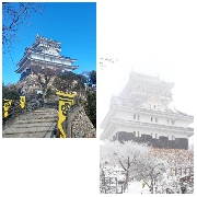 岐阜出張息子編